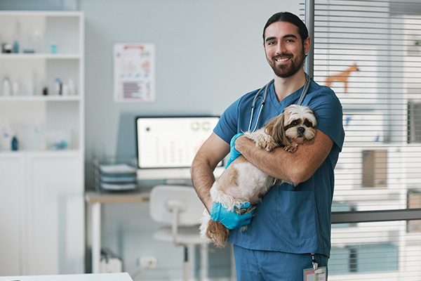 Grad veterinary img